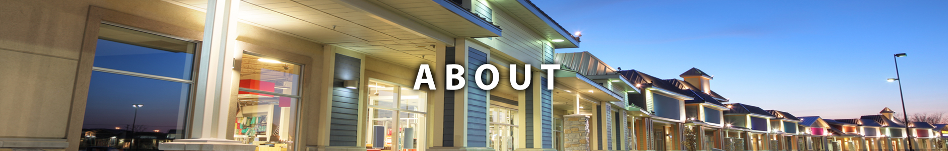 Teddico-About-Top-img